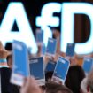 AfD-Verbot: Alle Demokraten sollten Ruhe bewahren