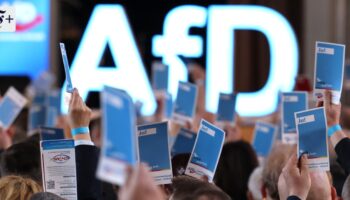 AfD-Verbot: Alle Demokraten sollten Ruhe bewahren