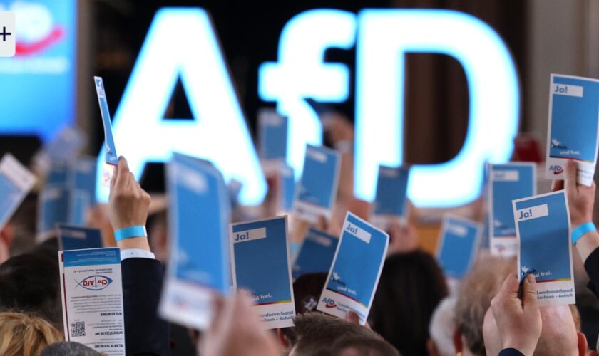 AfD-Verbot: Alle Demokraten sollten Ruhe bewahren