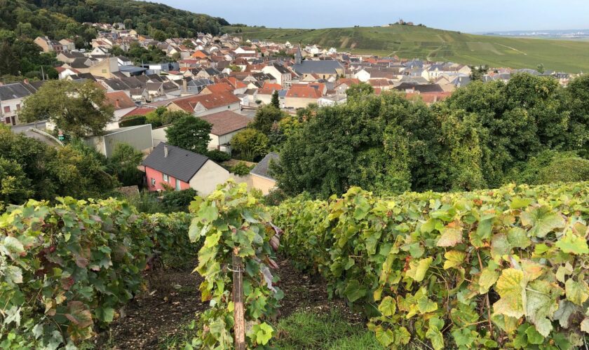 Déguisé en policier, il arnaque des personnes âgées dans le Puy-de-Dôme