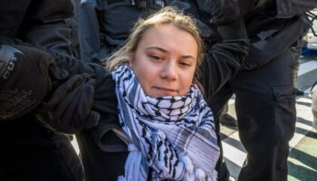 Greta Thunberg bei Demonstration in Brüssel festgenommen