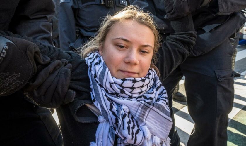 Greta Thunberg bei Demonstration in Brüssel festgenommen