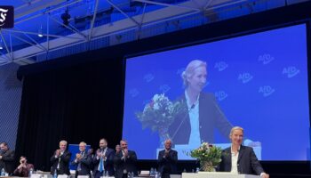 Weidel zur Spitzenkandidatin der AfD im Südwesten gewählt