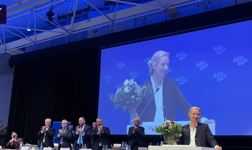 Weidel zur Spitzenkandidatin der AfD im Südwesten gewählt