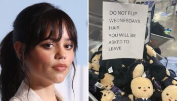 Jenna Ortega begs fans to stop viral Wednesday doll trend