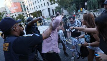 Anti-Israel protester lights himself on fire outside of White House