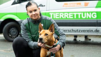 Wer rettet und betreut künftig Hamburgs Tiere?