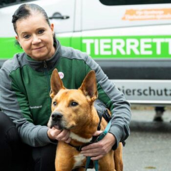 Wer rettet und betreut künftig Hamburgs Tiere?