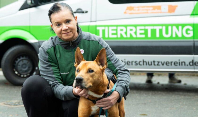 Wer rettet und betreut künftig Hamburgs Tiere?