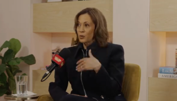 Kamala Harris, qualifiée de « femme à chats » par les républicains, répond à ses détracteurs