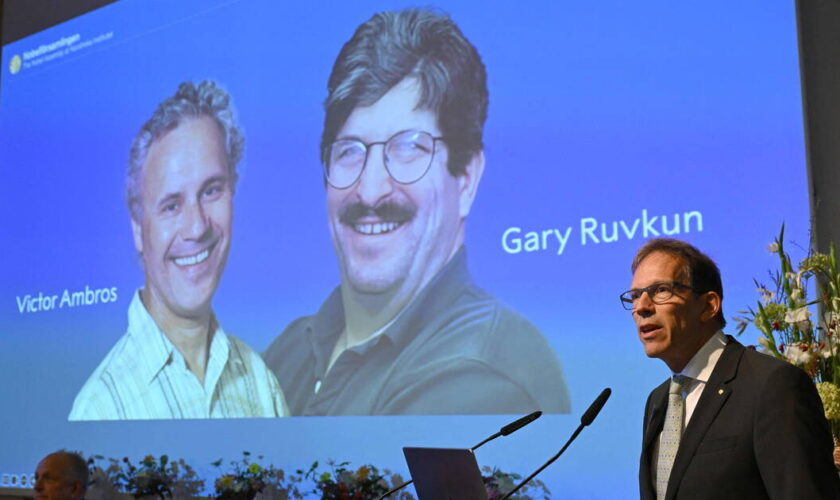 Prix Nobel de médecine 2024 : les découvreurs du micro-ARN Victor Ambros et Gary Ruvkun récompensés