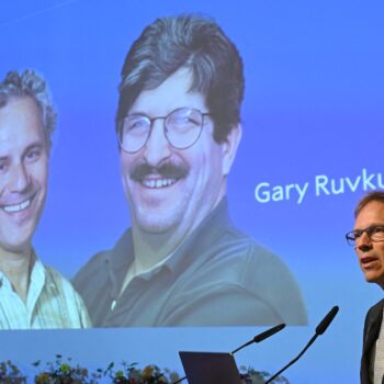 Victor Ambros et Gary Ruvkum ont remporté le prix Nobel de médecine le 7 octobre 2024 pour la découverte du microARN et son rôle dans la régulation de l'activité des gènes.