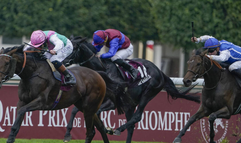 Mort d’un pur-sang en plein prix de l’Arc de Triomphe : «C’est une industrie qui pousse les chevaux à bout»