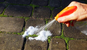 C'est la meilleure méthode contre la mousse sur votre terrasse ou votre allée - 15 minutes suffisent