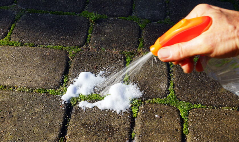 C'est la meilleure méthode contre la mousse sur votre terrasse ou votre allée - 15 minutes suffisent