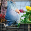 Une famille de fleuristes endeuillée à cause des pesticides veut alerter sur ce danger mortel