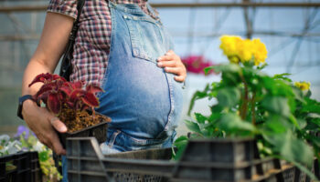 Une famille de fleuristes endeuillée à cause des pesticides veut alerter sur ce danger mortel