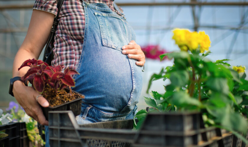 Une famille de fleuristes endeuillée à cause des pesticides veut alerter sur ce danger mortel