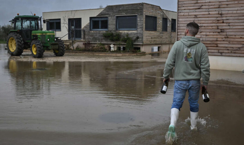 En France, trop de pluie et moins de vin