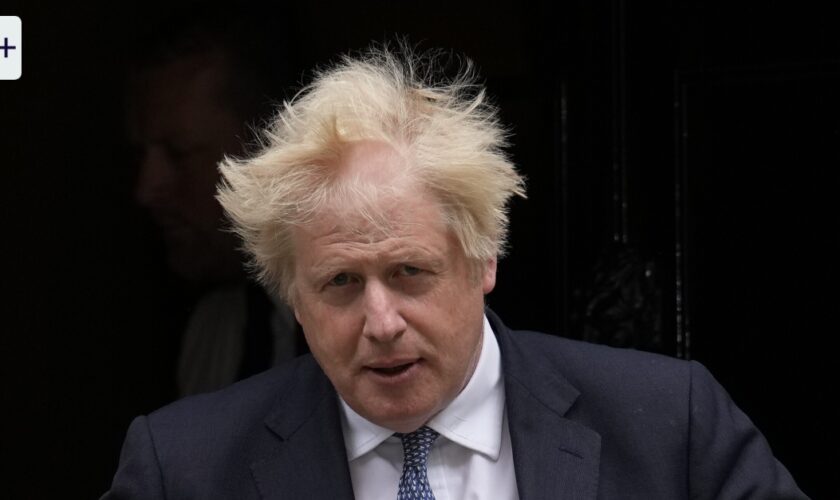 Autobiographie von Boris Johnson: Ansichten eines Clowns