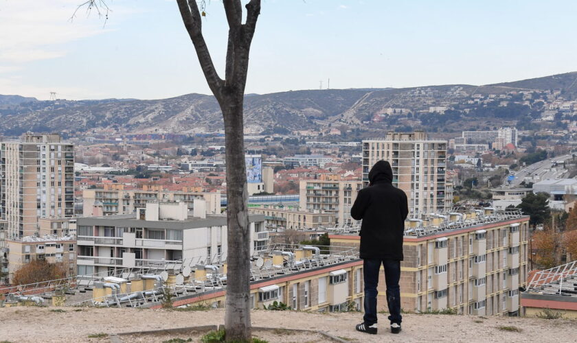 Tueur à gages à Marseille : la DZ Mafia nie toute implication et son explication est crédible