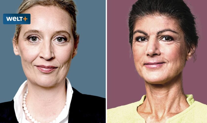 Und dann schleudert Wagenknecht Weidel entgegen: „Ehrlich gesagt: Da wird mir übel“