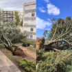 Tempête Kirk : les images des arbres déracinés et des inondations, de Lyon à l’ouest de la France