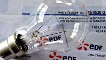 La guerre est déclarée sur le marché de l'électricité, où les concurrents d'EDF, profitant de la forte hausse de ses tarifs réglementés, s'activent pour ravir enfin la clientèle des particuliers à l'électricien national, toujours ultra-dominant six ans après la libéralisation du secteur.