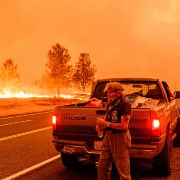 Un habitant évacue alors qu'un incendie s'est déclaré près du Paynes Creek, en Californie, en juillet 2024.