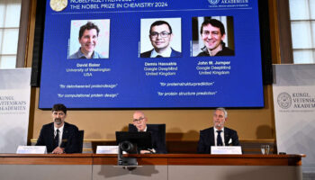 Le prix Nobel de chimie 2024 met en lumière l’importance de la structure 3D des protéines