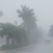 Hurricane Milton makes landfall, slamming into Florida with destructive winds, catastrophic storm surge