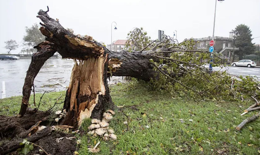 Tempête Kirk : les images des impressionnants dégâts en Espagne avant l’arrivée de la tempête en France