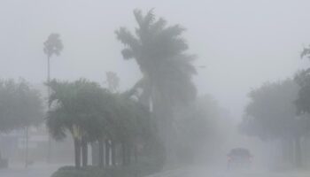 Unwetter: Hurrikan Milton erreicht Westküste Floridas