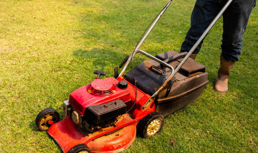 Il y a un moment précis où il faut arrêter de tondre sa pelouse avant l'hiver - les jardiniers sont formels