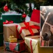 Holiday gift guide for the horseback-riding equestrian lover in your life