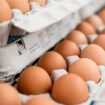 5 egg myths dispelled by an expert, plus tips for every egg lover