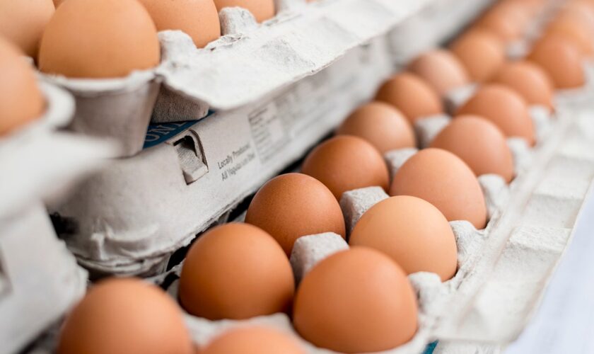 5 egg myths dispelled by an expert, plus tips for every egg lover