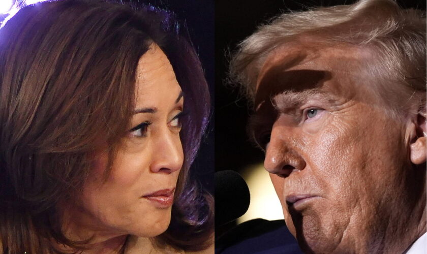 Trump ou Harris ? Les Français ont une préférence pour l'élection américaine, celle des jeunes détonne