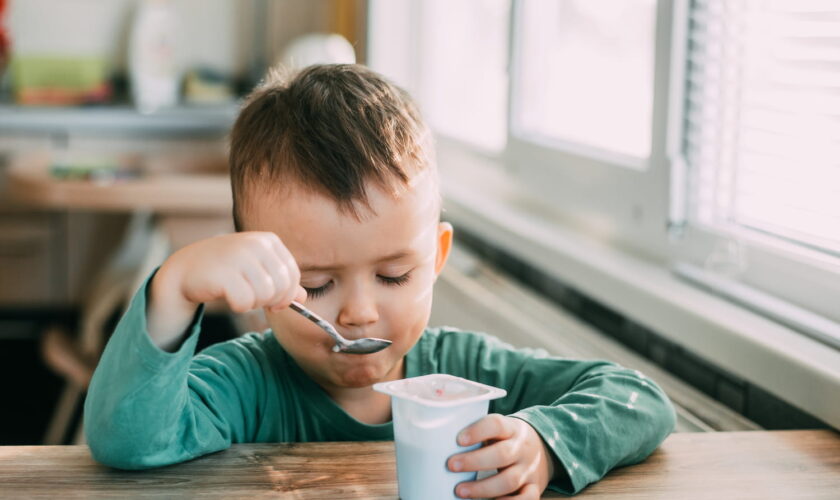 Fromage blanc ou yaourt ? Les diététiciens dévoilent lequel il faut choisir pour sa santé