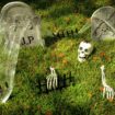 10 must-have Halloween yard decorations that are spooky and fun!