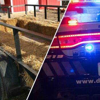 New Jersey family-friendly hayride event dissolves into chaos after hundreds of teens wreak havoc: police