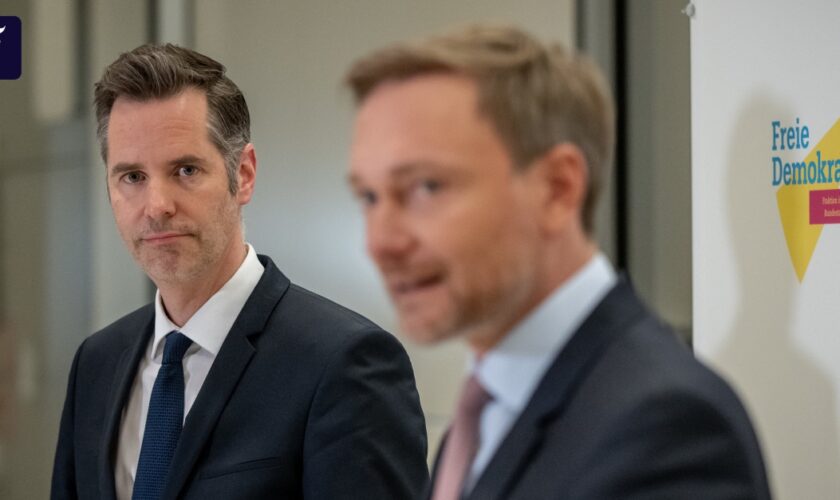 Jetzt lädt auch die FDP zum Wirtschaftsgipfel