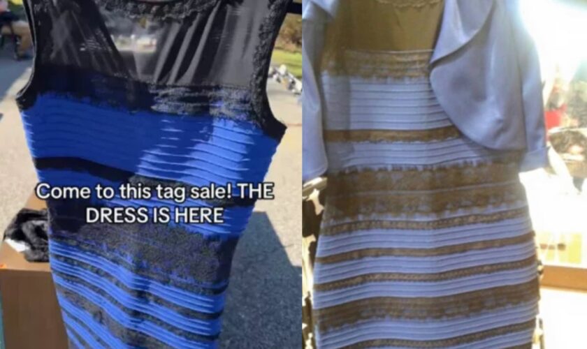 Woman goes viral after finding the optical illusion dress at a yard sale