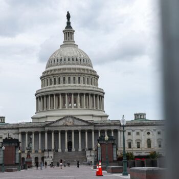 Aux États-Unis, à 10 jours de la présidentielle, une crotte en bronze installée devant le Capitole