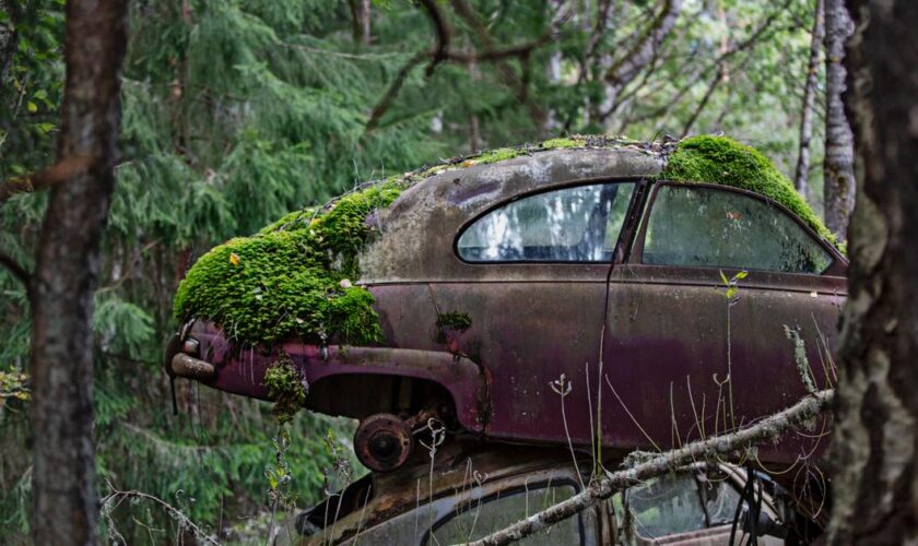 En Suède, une casse automobile aux airs d’apocalypse