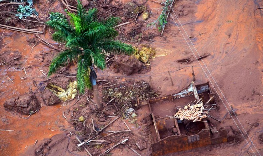 Schlammkatastrophe in Brasilien: Unternehmen müssen 28 Milliarden Euro für Umweltkatastrophe zahlen