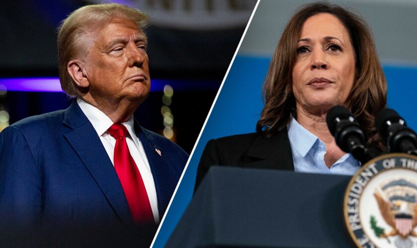 Trump, Harris nearly tied in battleground Wisconsin 8 days from Election Day, poll finds