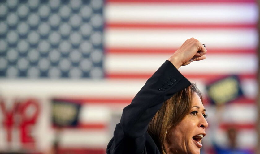 Programme de Kamala Harris : économie, immigration, avortement... Ses principales mesures