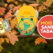 Ce qui change au 1er novembre 2024 : Smic, retraites, trêve hivernale…