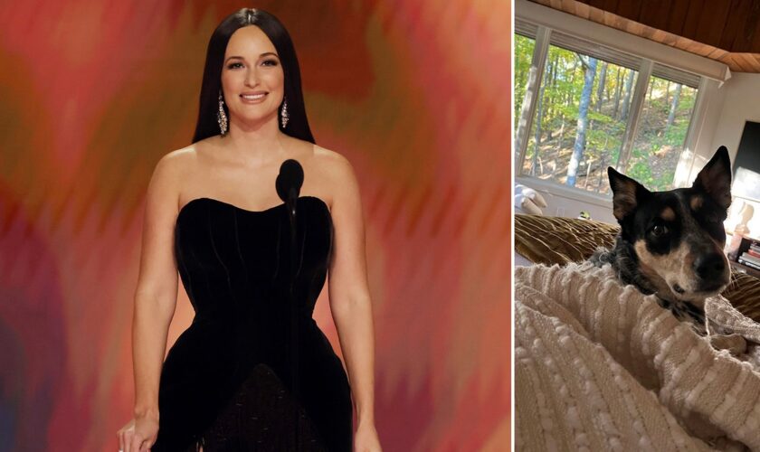 Country star Kacey Musgraves’ ‘brave’ dog saved her from stepping on a rattlesnake